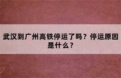 武汉到广州高铁停运了吗？停运原因是什么？