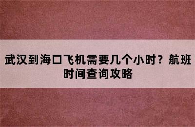 武汉到海口飞机需要几个小时？航班时间查询攻略