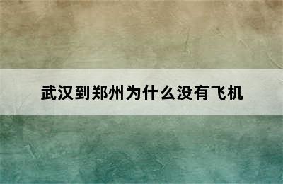 武汉到郑州为什么没有飞机