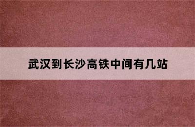 武汉到长沙高铁中间有几站