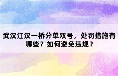 武汉江汉一桥分单双号，处罚措施有哪些？如何避免违规？