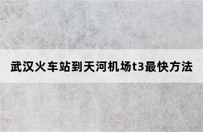 武汉火车站到天河机场t3最快方法