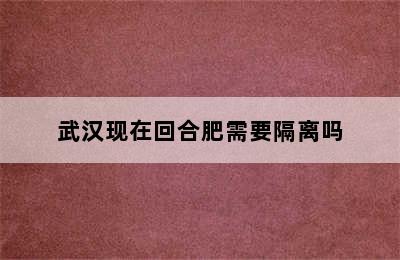 武汉现在回合肥需要隔离吗