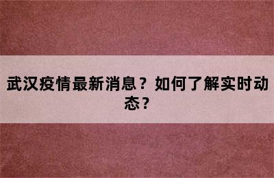武汉疫情最新消息？如何了解实时动态？