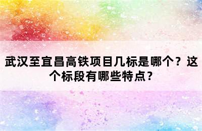 武汉至宜昌高铁项目几标是哪个？这个标段有哪些特点？