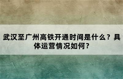 武汉至广州高铁开通时间是什么？具体运营情况如何？