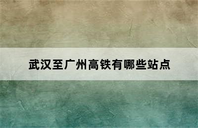 武汉至广州高铁有哪些站点