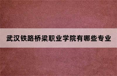 武汉铁路桥梁职业学院有哪些专业