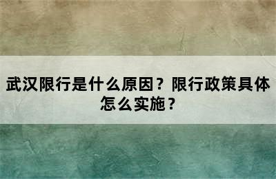 武汉限行是什么原因？限行政策具体怎么实施？