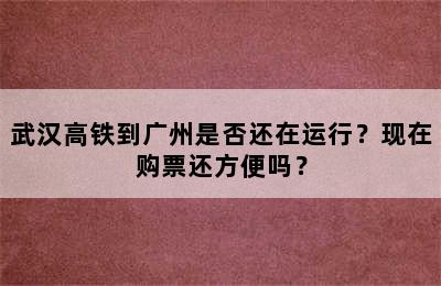 武汉高铁到广州是否还在运行？现在购票还方便吗？