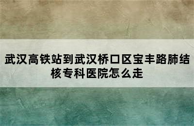 武汉高铁站到武汉桥口区宝丰路肺结核专科医院怎么走