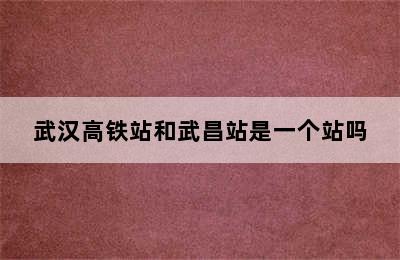 武汉高铁站和武昌站是一个站吗