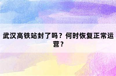 武汉高铁站封了吗？何时恢复正常运营？
