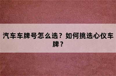 汽车车牌号怎么选？如何挑选心仪车牌？