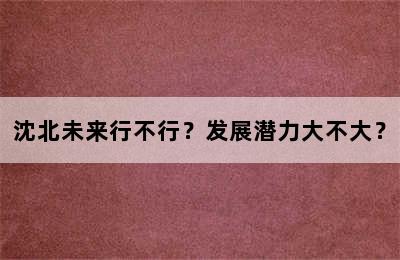 沈北未来行不行？发展潜力大不大？