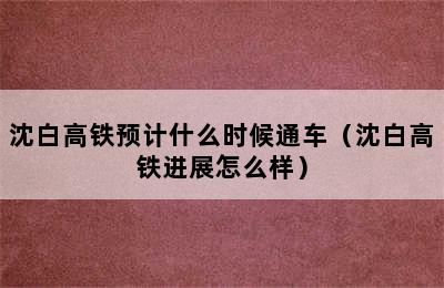 沈白高铁预计什么时候通车（沈白高铁进展怎么样）