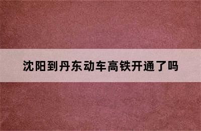 沈阳到丹东动车高铁开通了吗