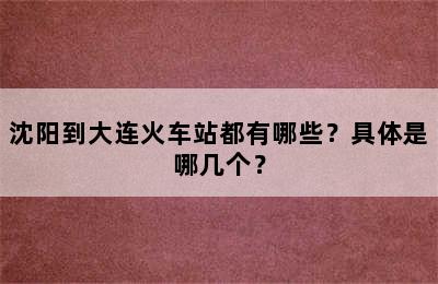 沈阳到大连火车站都有哪些？具体是哪几个？