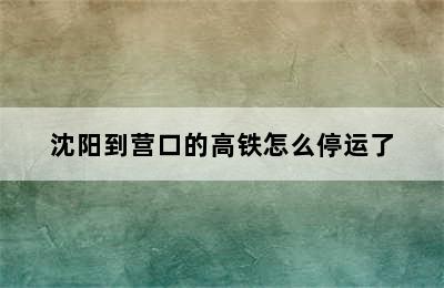沈阳到营口的高铁怎么停运了