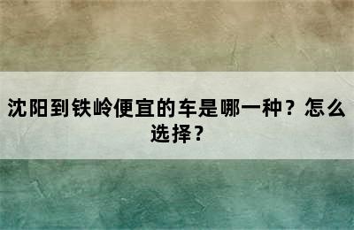 沈阳到铁岭便宜的车是哪一种？怎么选择？