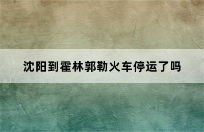 沈阳到霍林郭勒火车停运了吗