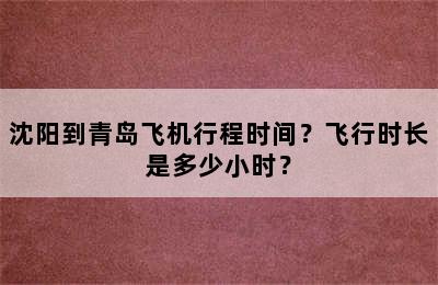 沈阳到青岛飞机行程时间？飞行时长是多少小时？