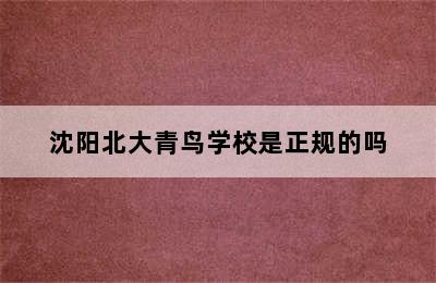 沈阳北大青鸟学校是正规的吗
