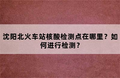 沈阳北火车站核酸检测点在哪里？如何进行检测？