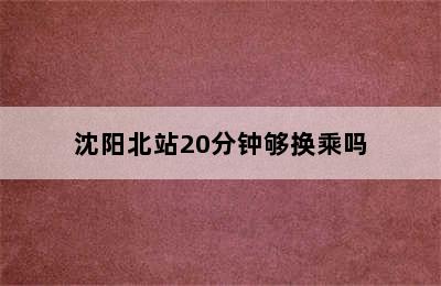 沈阳北站20分钟够换乘吗