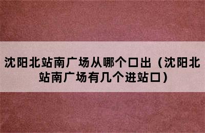 沈阳北站南广场从哪个口出（沈阳北站南广场有几个进站口）