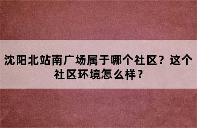 沈阳北站南广场属于哪个社区？这个社区环境怎么样？