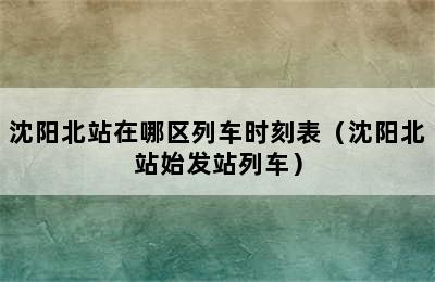 沈阳北站在哪区列车时刻表（沈阳北站始发站列车）