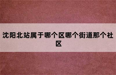 沈阳北站属于哪个区哪个街道那个社区