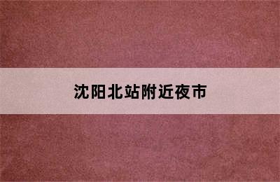 沈阳北站附近夜市