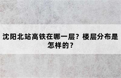 沈阳北站高铁在哪一层？楼层分布是怎样的？