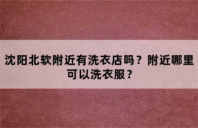 沈阳北软附近有洗衣店吗？附近哪里可以洗衣服？