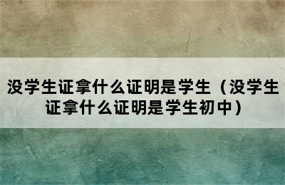 没学生证拿什么证明是学生（没学生证拿什么证明是学生初中）