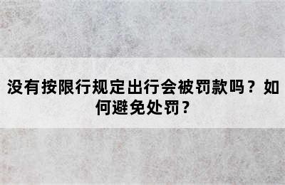 没有按限行规定出行会被罚款吗？如何避免处罚？