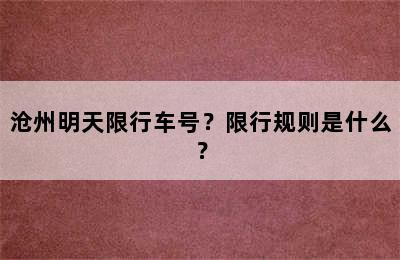 沧州明天限行车号？限行规则是什么？