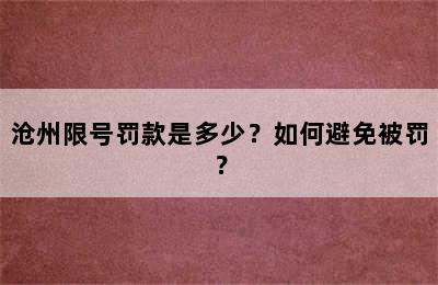 沧州限号罚款是多少？如何避免被罚？