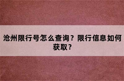 沧州限行号怎么查询？限行信息如何获取？