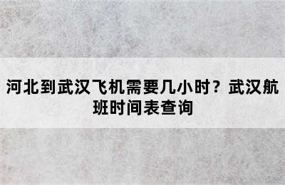 河北到武汉飞机需要几小时？武汉航班时间表查询