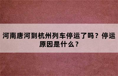 河南唐河到杭州列车停运了吗？停运原因是什么？