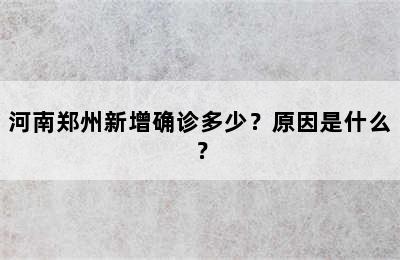 河南郑州新增确诊多少？原因是什么？