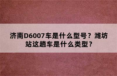 济南D6007车是什么型号？潍坊站这趟车是什么类型？