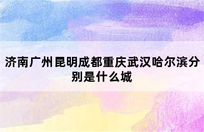 济南广州昆明成都重庆武汉哈尔滨分别是什么城