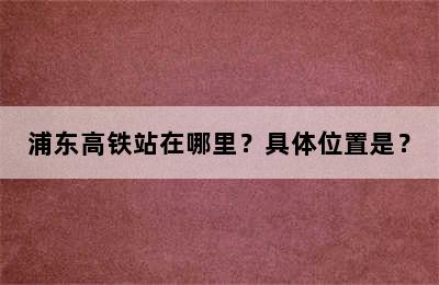 浦东高铁站在哪里？具体位置是？