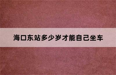 海口东站多少岁才能自己坐车