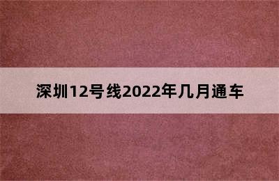 深圳12号线2022年几月通车