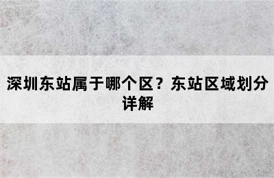 深圳东站属于哪个区？东站区域划分详解